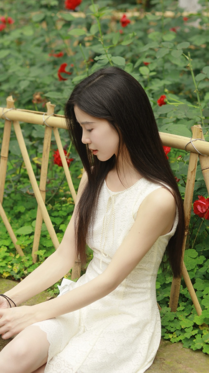 阳光普照 封面